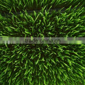 2016 Hydroponic Farm Fodder Growing System for Poultry/Livestock thumbnail-2