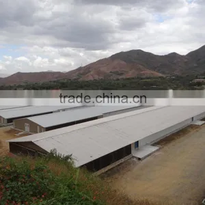 Automatic Environmental Controlled Chicken Farms Construction thumbnail-3