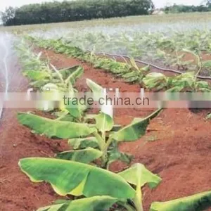 Agricultural Micro-spray Tape Machinery Express Hot thumbnail-4