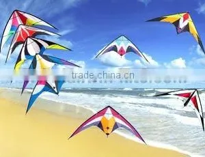 Dual Line Delta Stunt Kites thumbnail-1