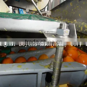 200 Tons per Day Automatic Orange Citrus Processing Line Fruit Juice Production Line thumbnail-3