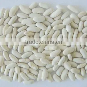 Big Size White Beans White Haricot Beans thumbnail-5