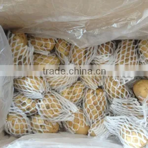 250G Size of 10KG Fresh Holland Potato thumbnail-3
