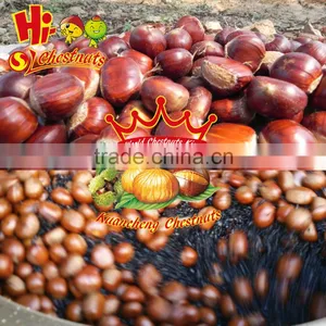 New Crop Fresh Chinese Chestnuts Wholesale Chestnut thumbnail-2