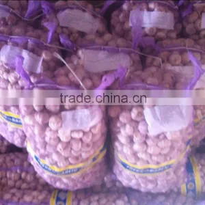 2015 Crop Garlic thumbnail-1
