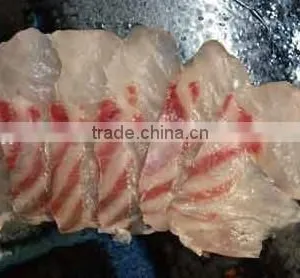 Kue Epinephelus Bruneus Longtooth Grouper thumbnail-2