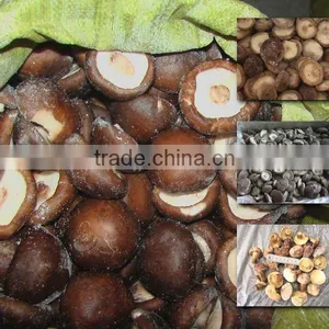 IQF Shiitake thumbnail-1