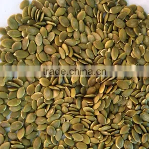 Wholesale Pumpkin Seeds Kernel Shine Skin AA thumbnail-4