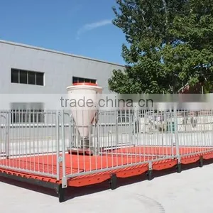 Poultry Feed Processing Equipment Stainless Steel Pigs Stall Nursery Crates thumbnail-2