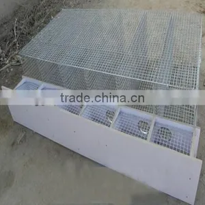 Mink Farming thumbnail-1
