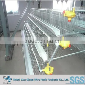 High Quality Bird Chicken Layer Cage thumbnail-1