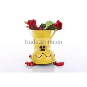 Yellow Shoe Dog thumbnail-1