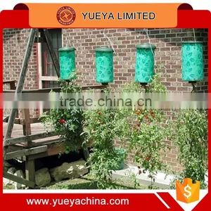 Tv Hot Sale Household Topsy-Turvy Plants Bonsai thumbnail-2