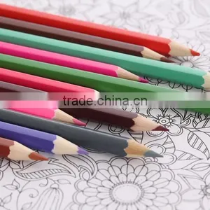 Factory Wholesale School Kids 24 Colors Recycled Wooden Colored Pencils With Tube thumbnail-3