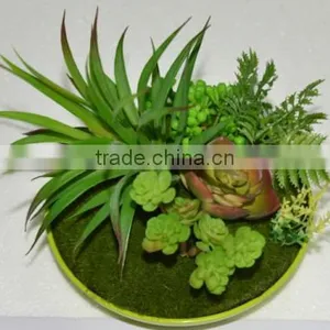 SJ3001011 Indoor Mini Bonsai Cactus Plant Artificial thumbnail-6