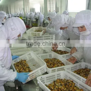 IQF Blue Mussel Meat thumbnail-5