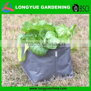 Hot Selling Cheap Growing Plastic Bags for Plants thumbnail-1