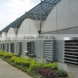 Low Cost Plastic Film Greenhouse Tunnel for Sale thumbnail-1