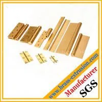 Door Hinge Brass Extrusion Profile thumbnail-1