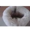 Boots thumbnail-1