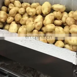 Industrial Automatic Yam Vegetable Washing Machine Potato Skin Cleaner Carrot Peeler thumbnail-1
