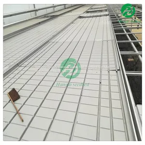 Agricultural Planting Rolling Bench Ebb and Flow Tray Tobacco Seedbed in Greenhouse thumbnail-1
