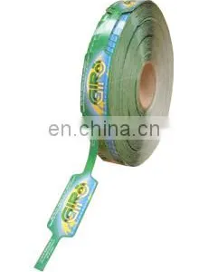 Genyond Packing Machine Package Machine Haricot Vert Packing thumbnail-2