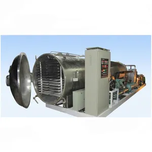 Shanghai Vacuum Freeze Dryer / Lyophilizer Machine for Industrial Fruit and Vegetables thumbnail-6