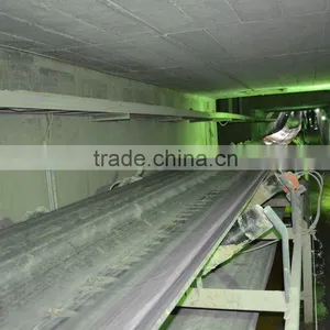Dingli Mining and Quarry Professional Belt Conveyor thumbnail-1