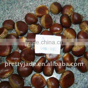 Chestnut Price thumbnail-1