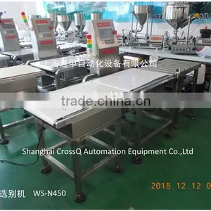 Automatic Check Weigher WS-N320 (20g-10kg) thumbnail-6