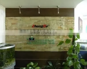 Shenzhen Zhongde Audio-Technical Co., Ltd. company overview - view 1 thumbnail
