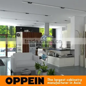 Project Modern Modular Kitchen Designs Small Kitchens thumbnail-4