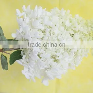 Elegant in Smell Hot-sale Hydrangea Flower for Sale thumbnail-3