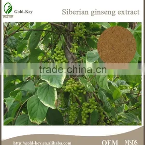 High Quality Siberian Ginseng Extract for Hair thumbnail-4