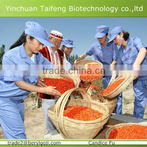 Organic Ningxia Goji Berry thumbnail-2