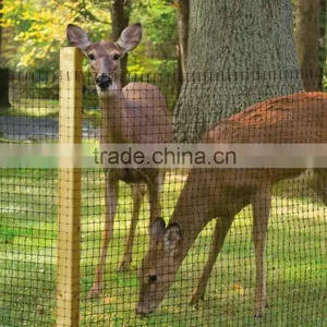 Plastic Netting Protected Deer From Damage & Ideal for Seasonal thumbnail-3
