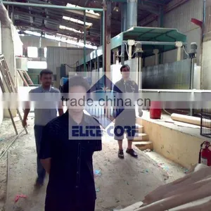 2013 Automatic Continuous Foaming Machine Elitecore thumbnail-1