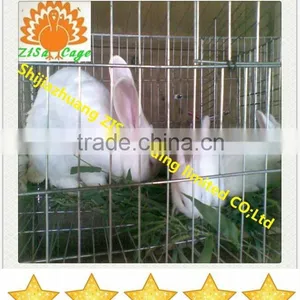 Automatic Mather Rabbit Farm Cage Equipment Cheap Price thumbnail-2