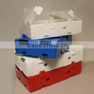 pp Corrugated Fruit and Veg Harvesting Boxes thumbnail-1