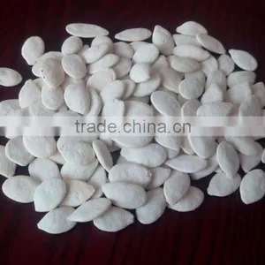 GWS Snow White Pumpkin Seeds Shine Skin Pumpkin Seeds Roasted Spiced Pumpkin Seed Recipe thumbnail-2