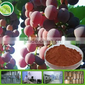 GMP Factory Organic Grape Seed Extract Powder thumbnail-1