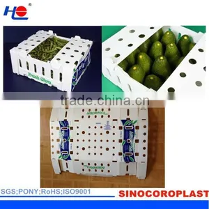 PP Material Accept Custom Order Corrugated Plastic Box thumbnail-4
