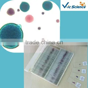 50pieces Set Human Histology Slides Human Tissue Slides thumbnail-1