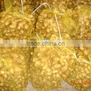 Chinese Low Price Ginger thumbnail-3