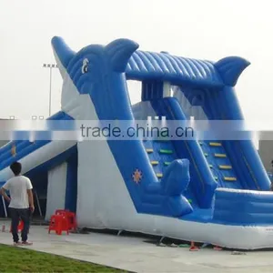 Cheap Inflatable Bouncer Giant Inflatable Water Slide for Kids Outdoor Play thumbnail-5