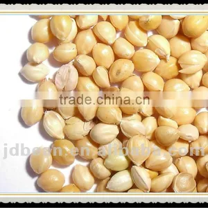 Yelllow Millet in Husk thumbnail-1