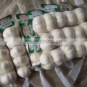 Chinese High Quality Fresh Pure White Garlic or Normal White Garlic Dry Garlic thumbnail-1