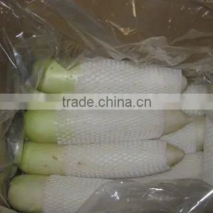 Fresh Radish thumbnail-1