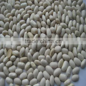 White Kidney Bean for Sale thumbnail-2